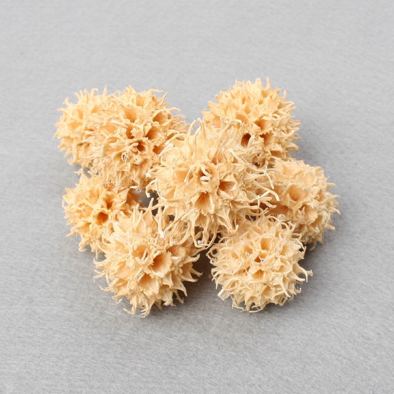 Picture of Dried Amberbaum Pods 250g Bleached